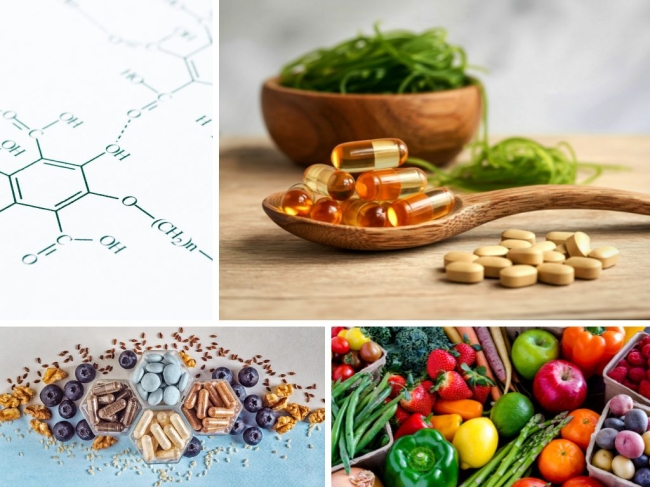 10 Février 2026 - WEBINAIRE – Initiation à la Micronutrition Fonctionnelle & Supplémentation Efficace